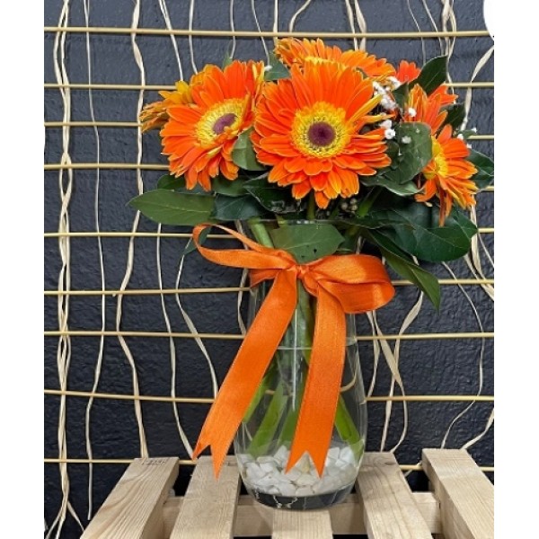 Turuncu Gerbera Çiçeği